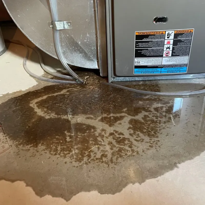 Pipe Burst and Leak Restoration in Murray, KY
