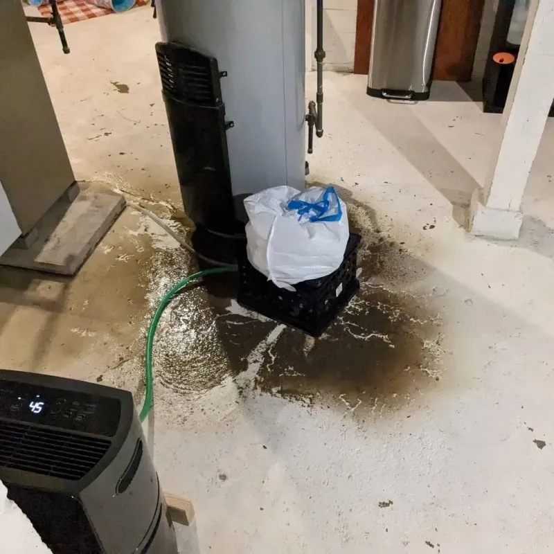 Sewage Backup Cleanup Service in Murray, KY
